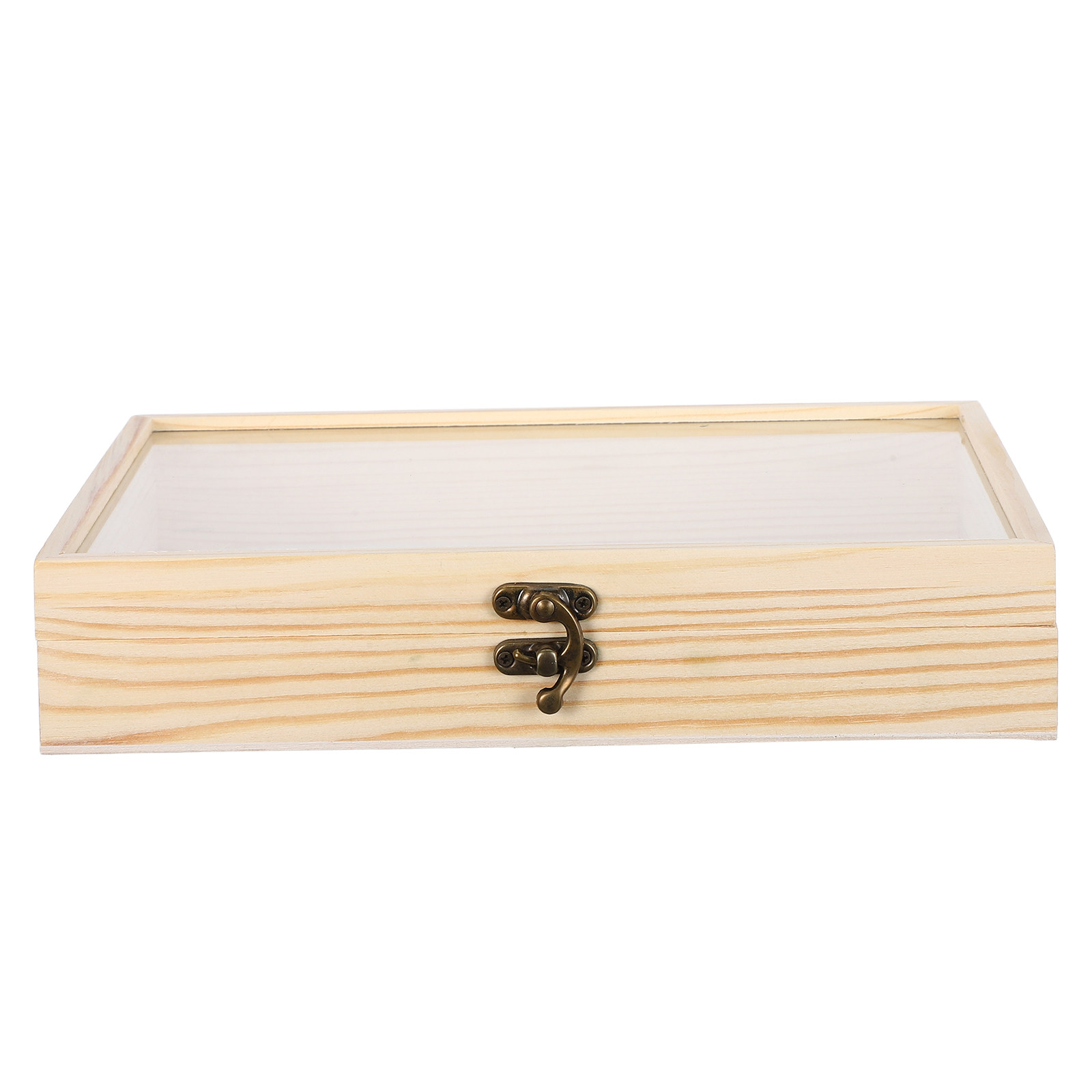 Science Project - Boîte de présentation d'insectes en bois