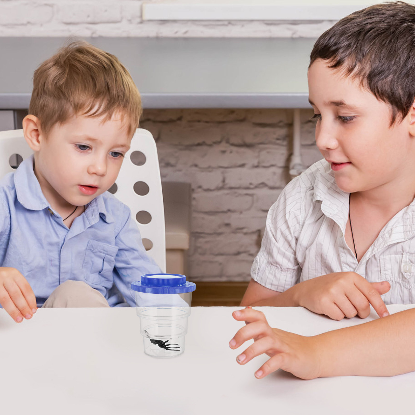 Boîte d'observation d'insectes - Science Toy avis et prix
